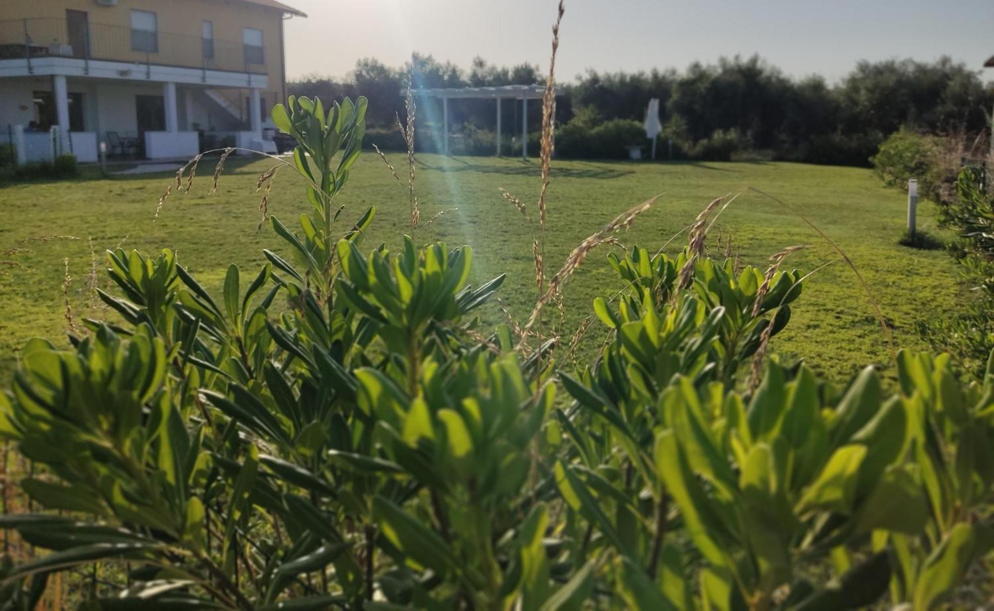 Natura E Mente Camere E Relax Vasto Buitenkant foto